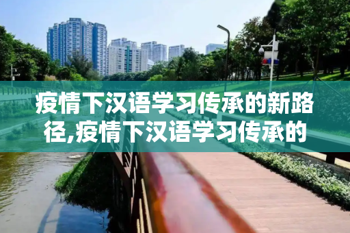 疫情下汉语学习传承的新路径,疫情下汉语学习传承的新路径