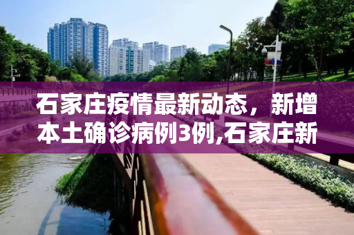 石家庄疫情最新动态，新增本土确诊病例3例,石家庄新增本土确诊病例3例