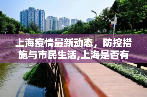 上海疫情最新动态，防控措施与市民生活,上海是否有疫情最新消息