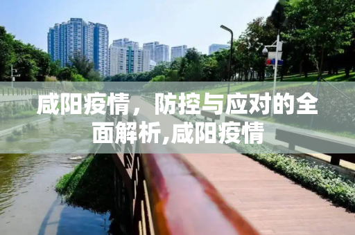 咸阳疫情，防控与应对的全面解析,咸阳疫情