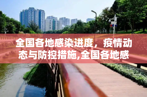 全国各地感染进度，疫情动态与防控措施,全国各地感染进度