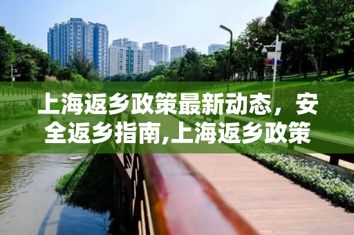 上海返乡政策最新动态，安全返乡指南,上海返乡政策最新