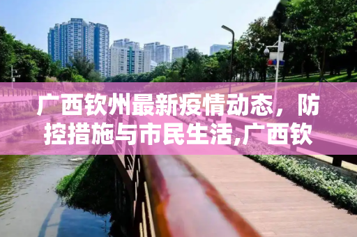 广西钦州最新疫情动态，防控措施与市民生活,广西钦州最新疫情
