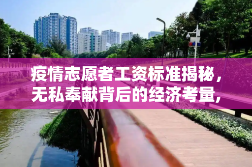 疫情志愿者工资标准揭秘，无私奉献背后的经济考量,疫情志愿者工资标准揭秘