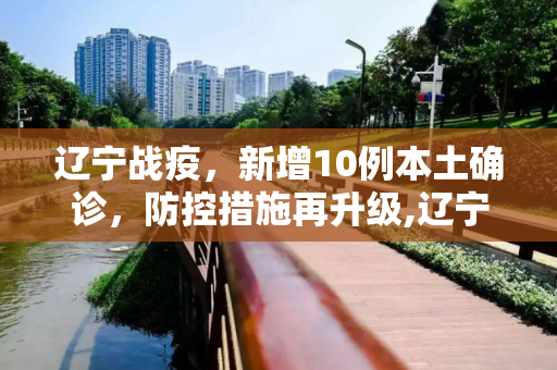 辽宁战疫，新增10例本土确诊，防控措施再升级,辽宁新增10例本土确诊