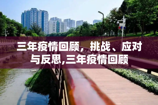 三年疫情回顾，挑战、应对与反思,三年疫情回顾