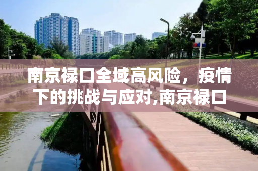 南京禄口全域高风险，疫情下的挑战与应对,南京禄口全域高风险