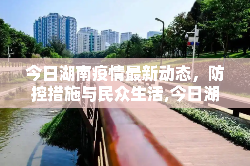 今日湖南疫情最新动态，防控措施与民众生活,今日湖南疫情公布