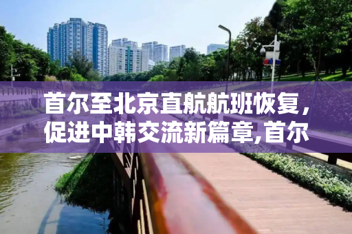 首尔至北京直航航班恢复，促进中韩交流新篇章,首尔至北京直航航班将恢复