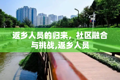 返乡人员的归来，社区融合与挑战,返乡人员