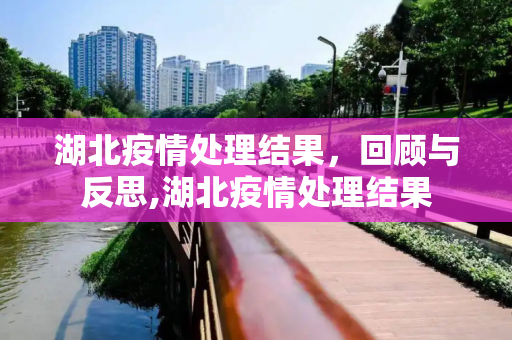 湖北疫情处理结果，回顾与反思,湖北疫情处理结果