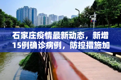 石家庄疫情最新动态，新增15例确诊病例，防控措施加强,石家庄新增15例确诊