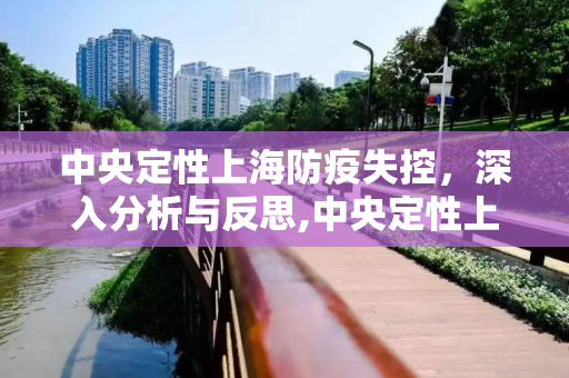 中央定性上海防疫失控，深入分析与反思,中央定性上海防疫失控