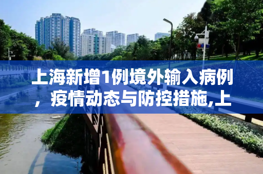上海新增1例境外输入病例，疫情动态与防控措施,上海新增1例境外输入病例的简单介绍