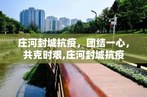 庄河封城抗疫，团结一心，共克时艰,庄河封城抗疫