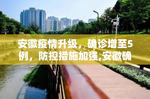 安徽疫情升级，确诊增至5例，防控措施加强,安徽确诊增至5例