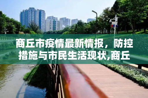 商丘市疫情最新情报，防控措施与市民生活现状,商丘疫情最新情报
