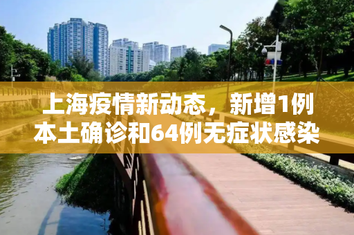 上海疫情新动态，新增1例本土确诊和64例无症状感染者,关于上海新增1例本土确诊64例无症状的信息