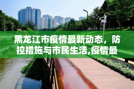 黑龙江市疫情最新动态，防控措施与市民生活,疫情最新消息黑龙江市