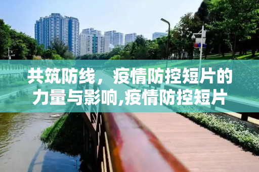 共筑防线，疫情防控短片的力量与影响,疫情防控短片