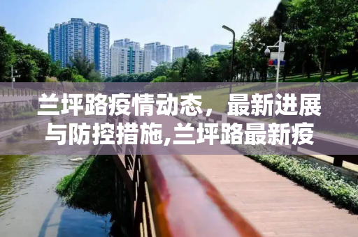 兰坪路疫情动态，最新进展与防控措施,兰坪路最新疫情