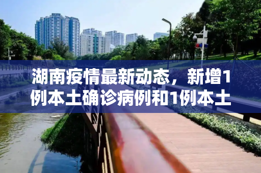 湖南疫情最新动态，新增1例本土确诊病例和1例本土无症状感染者,湖南新增1例本土确诊、1例本土无症状