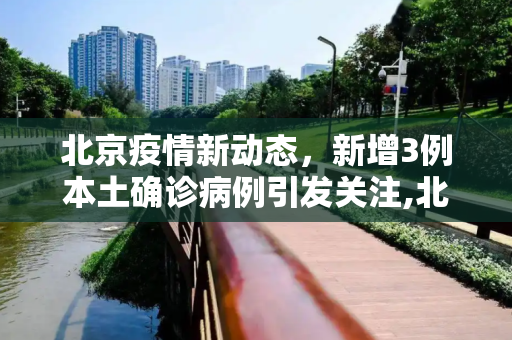 北京疫情新动态，新增3例本土确诊病例引发关注,北京新增3例本土确诊病例