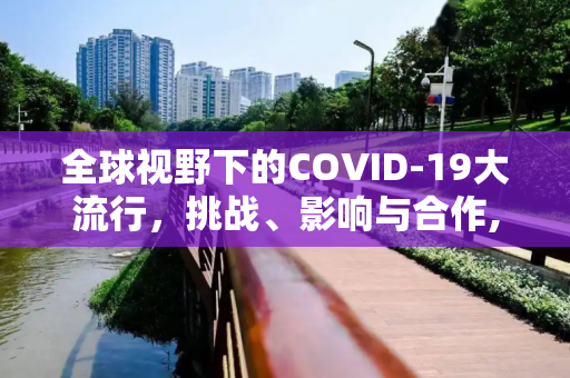全球视野下的COVID-19大流行，挑战、影响与合作,全球视野下的COVID19大流行
