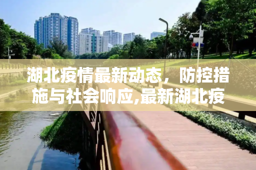 湖北疫情最新动态，防控措施与社会响应,最新湖北疫情