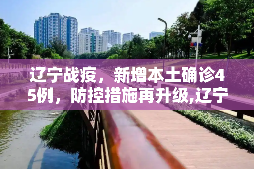 辽宁战疫，新增本土确诊45例，防控措施再升级,辽宁新增本土确诊45例