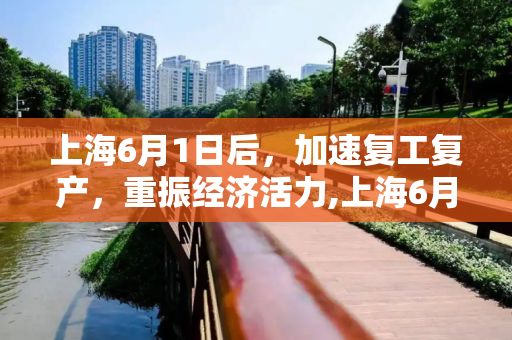 上海6月1日后，加速复工复产，重振经济活力,上海6月1日后加快复工复产