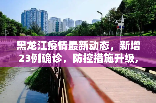 黑龙江疫情最新动态，新增23例确诊，防控措施升级,黑龙江新增23例确诊