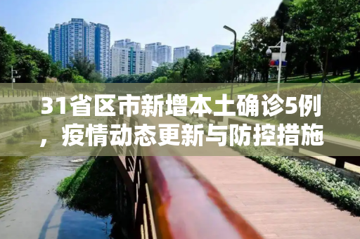 31省区市新增本土确诊5例，疫情动态更新与防控措施,31省区市新增本土确诊5例