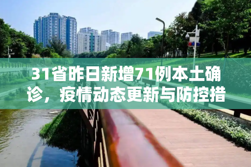 31省昨日新增71例本土确诊，疫情动态更新与防控措施,31省昨日新增71例本土确诊