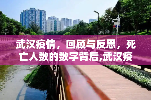 武汉疫情，回顾与反思，死亡人数的数字背后,武汉疫情死亡人数
