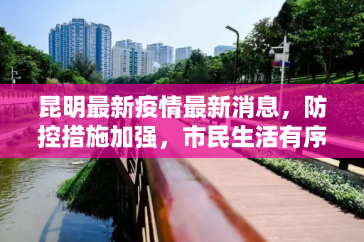 昆明最新疫情最新消息，防控措施加强，市民生活有序,昆明最新疫情最新消息