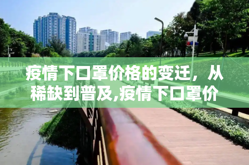 疫情下口罩价格的变迁，从稀缺到普及,疫情下口罩价格变迁
