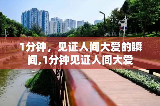 1分钟，见证人间大爱的瞬间,1分钟见证人间大爱