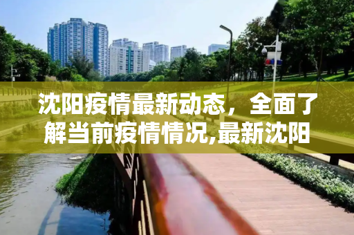 沈阳疫情最新动态，全面了解当前疫情情况,最新沈阳最新疫情:最新沈阳疫情情况