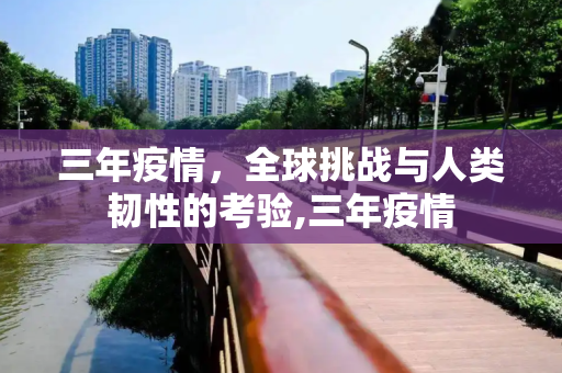 三年疫情，全球挑战与人类韧性的考验,三年疫情