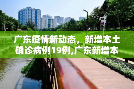 广东疫情新动态，新增本土确诊病例19例,广东新增本土确诊19例