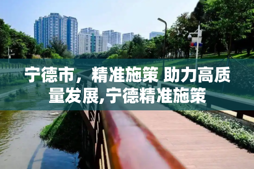 宁德市，精准施策 助力高质量发展,宁德精准施策