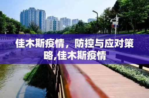 佳木斯疫情，防控与应对策略,佳木斯疫情