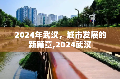 2024年武汉，城市发展的新篇章,2024武汉