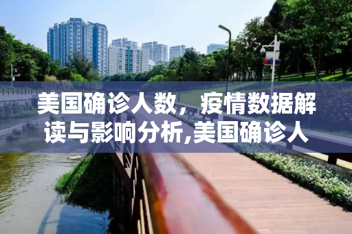 美国确诊人数，疫情数据解读与影响分析,美国确诊人数