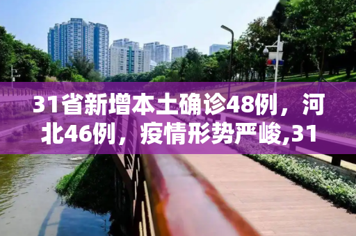 31省新增本土确诊48例，河北46例，疫情形势严峻,31省新增本土确诊48例:河北46例