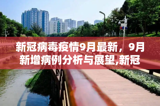 新冠病毒疫情9月最新，9月新增病例分析与展望,新冠病毒疫情9月最新:9月新增病例