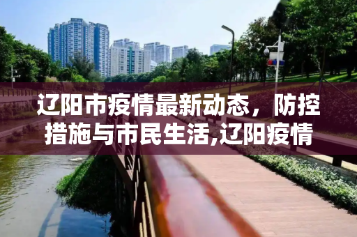 辽阳市疫情最新动态，防控措施与市民生活,辽阳疫情最新消息