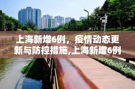 上海新增6例，疫情动态更新与防控措施,上海新增6例