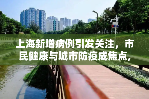 上海新增病例引发关注，市民健康与城市防疫成焦点,上海新增